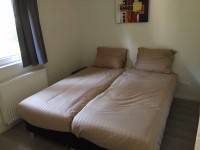 IMG_3856.jpg